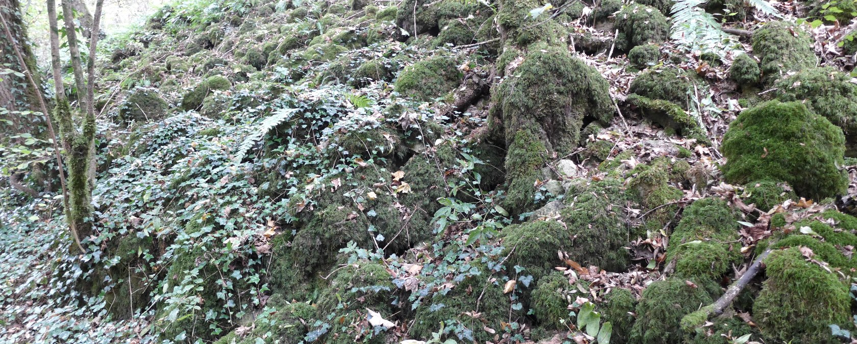 pierre-moes-traumschleife-21, &copy; Deutsch Luxemburgische tourist Info