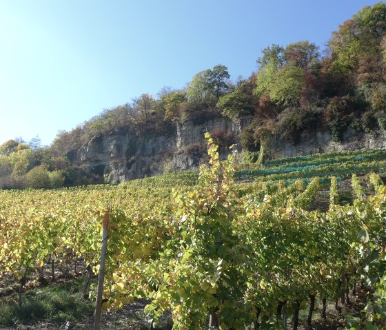 Piste cyclable de la Moselle, © Nicole Zimmer