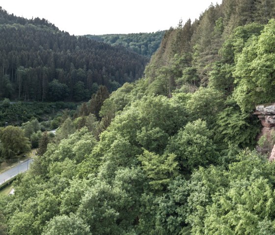 Rocher de Kauley pr&egrave;s de Kordel, &eacute;tape 14 du sentier de l'Eifel, &copy; Eifel Tourismus GmbH, D. Ketz