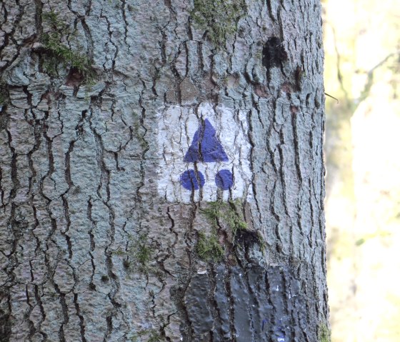 mountain-bike-logo-ortal-lft, &copy; ORTAL LFT