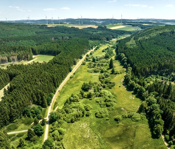 De Eifel-Ardennen fietsroute loopt door het groene landschap van de Eifel, &copy; Eifel Tourismus GmbH, Dominik Ketz