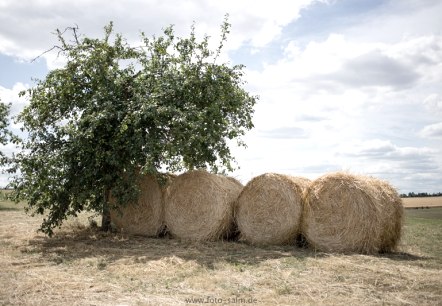 balles de foin_1, &copy; Deutsch Luxemburgische Tourist Info