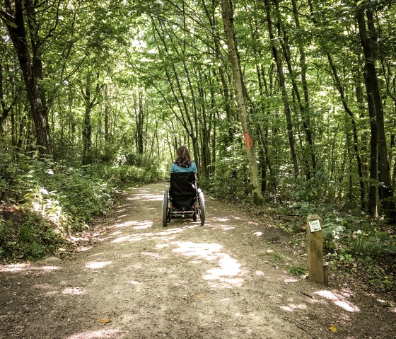 Une personne en fauteuil roulant roule sur un chemin forestier ensoleill&eacute; dans le K&ouml;nigswalddchen. Le chemin est bord&eacute; d'arbres verts., &copy; TI Bitburger Land