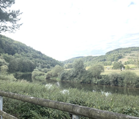 Image.jpeg5, &copy; Nicole Zimmer