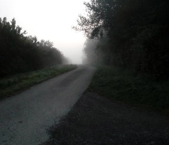 Herbstlicher_Wanderweg, &copy; Monika Kunze