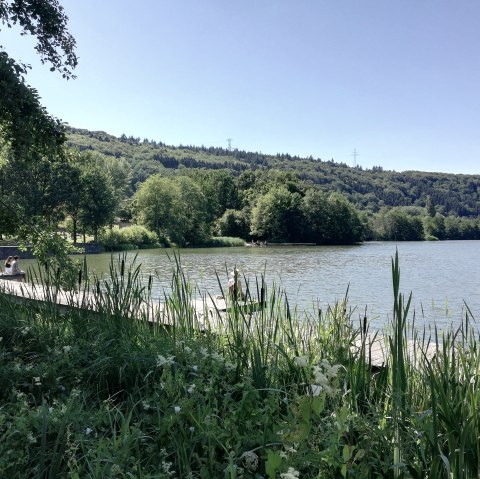 echternacher-see-nicole-zimmer19_1, &copy; nicole zimmer