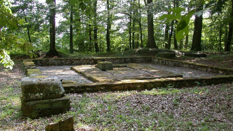 Een oude ruïne in een bosgebied, omringd door groene bomen. De grond is bedekt met bladeren, en enkele grote stenen zijn zichtbaar.