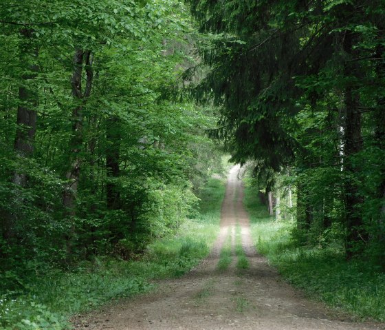 Hérisson 2, © Deutsch-Luxemburgische Tourist-Information