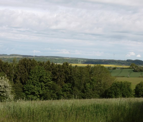 Egel 2, © Deutsch-Luxemburgische Tourist-Information