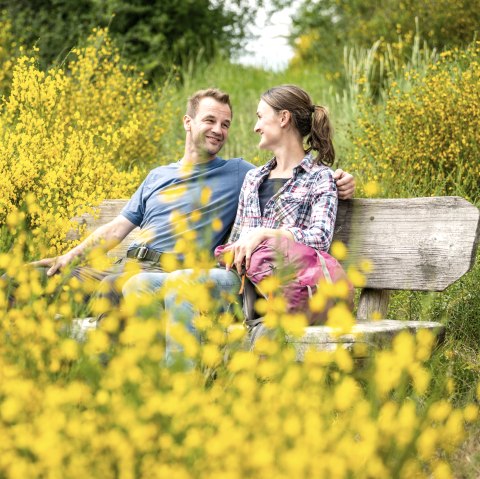 A couple sits smiling on a wooden bench, surrounded by blooming yellow broom in a green landscape., © Eifel Tourismus GmbH, Dominik Ketz