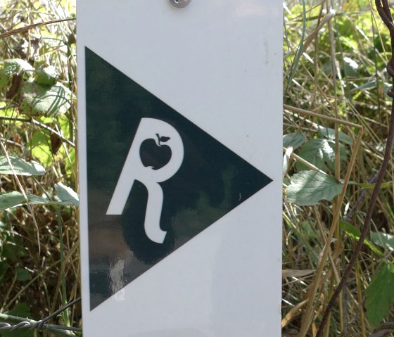 ramborn-3_2, &copy; Nicole Zimmer