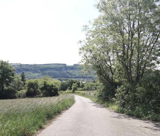 hiking-path-water-cheap-e-10, © Deutsch Luxemburgische Tourist Information