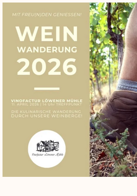 Ein Wanderer steht in einem Weinberg. Die Veranstaltung „Weinwanderung 2025“ lädt dazu ein, die Umgebung zu genießen.