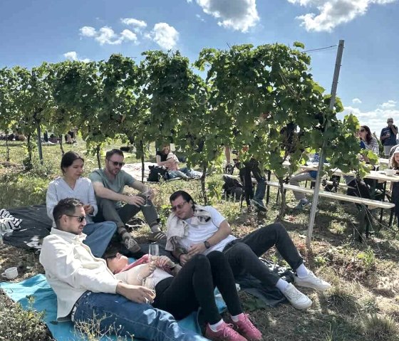 Hoffest Weingut F&uuml;rst, &copy; Weingut F&uuml;rst