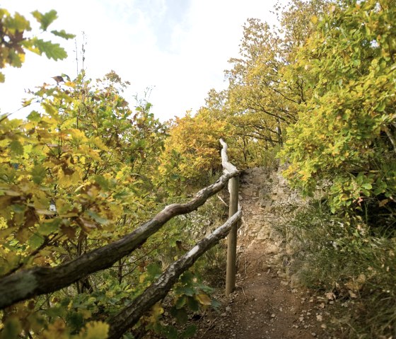 Le coucou de l'Eifelsteig, © Rheinland-Pfalz Tourismus, D. Ketz