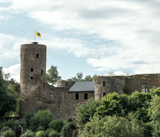 Le ch&acirc;teau de Reuland avec une tour ronde et un drapeau jaune, entour&eacute; d'arbres verts et d'un ciel nuageux., &copy; vennbahn.eu