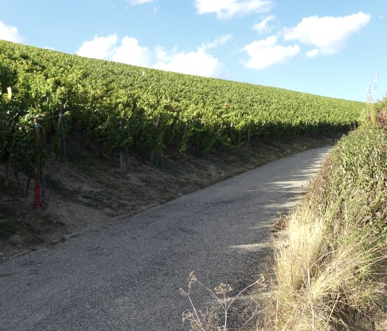 chemin du vin, © Deutsch Luxemburgische Tourist Info