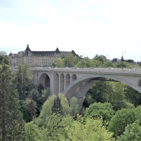 plateau-bourbon-nicole-room, © Nicole Zimmer