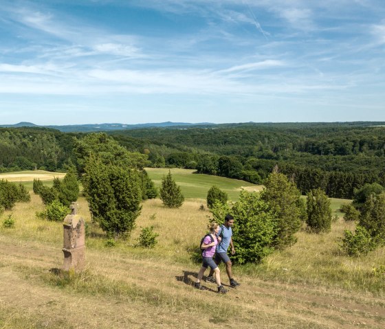 Zwei Wanderer auf einem Pfad in einer gr&uuml;nen, h&uuml;geligen Landschaft mit B&auml;umen und weitem Himmel., &copy; Eifel Tourismus GmbH, Dominik Ketz