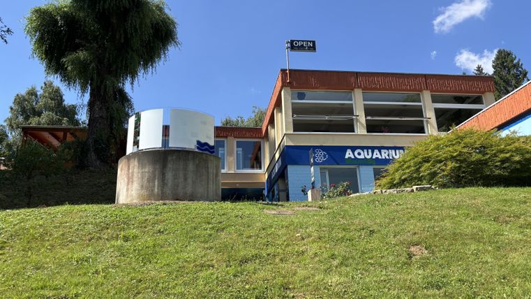 Ein modernes Gebäude mit dem Schild „OPEN“ und der Aufschrift „AQUARIUM“. Es liegt auf einer bewachsenen Anhöhe unter einem blauen Himmel mit einigen Wolken.