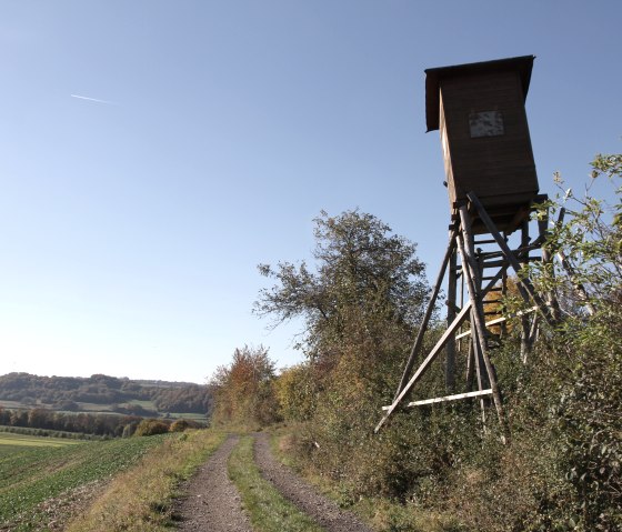 Parc naturel Südeifel 70, © Reinhold Hansen