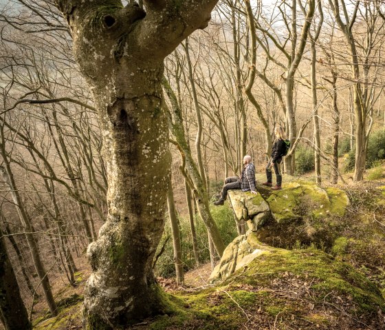 Zwei Personen stehen und sitzen auf einem moosbedeckten Felsen in einem kahlen Wald. Die Bäume sind hoch und dicht, ohne Laub., © Eifel Tourismus GmbH, D. Ketz