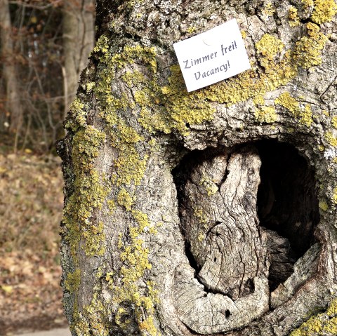 room-1846570_1920, &copy; Pixabay