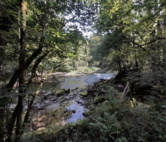 Mertert 3, &copy; Deutsch-Luxemburgische Tourist Info