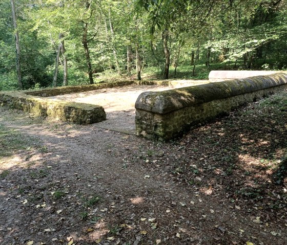 Gallo 4, &copy; Nicole Zimmer