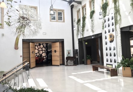 natuurmuseum-auteursrecht-mnhn, &copy; MNHNL