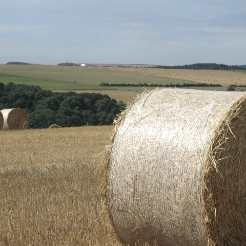 Manternach, © Deutsch Luxemburgisches Tourist Info