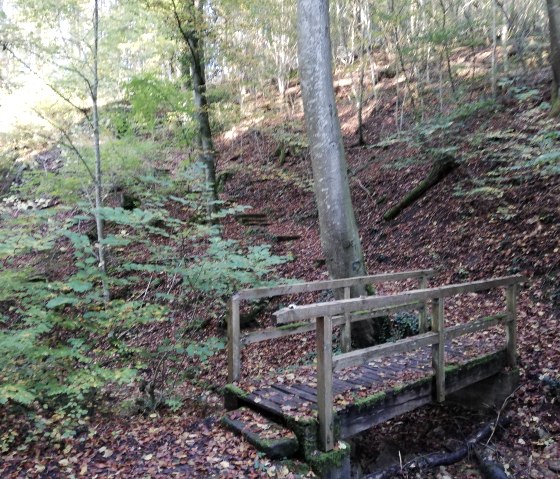 Parc naturel Südeifel 70, © Reinhold Hansen