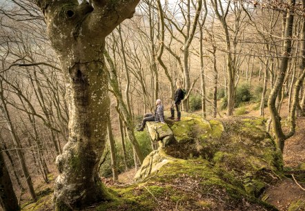 Twee mensen staan en zitten op een met mos bedekte rots in een kaal bos. De bomen zijn hoog en dicht, zonder gebladerte., &copy; Eifel Tourismus GmbH, D. Ketz