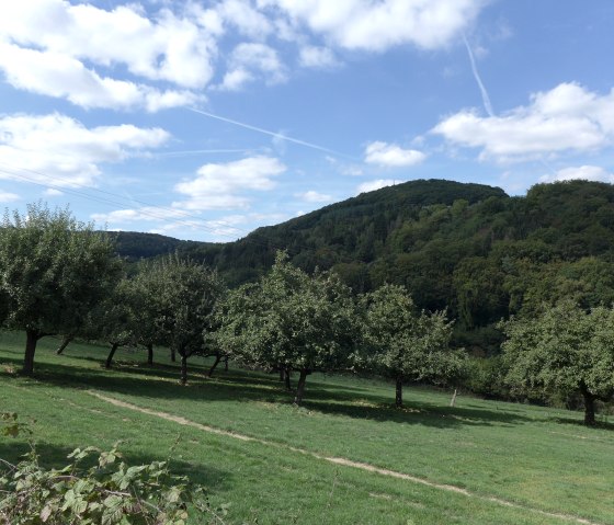 ramborn-1, &copy; Nicole Zimmer