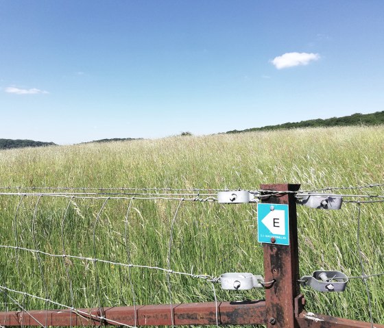 hiking-path-water-cheap-e-9, © Deutsch Luxemburgische Tourist Information