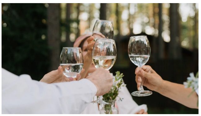Un groupe de personnes lève des verres pour porter un toast. En arrière-plan, des arbres et une atmosphère joyeuse sont visibles.
