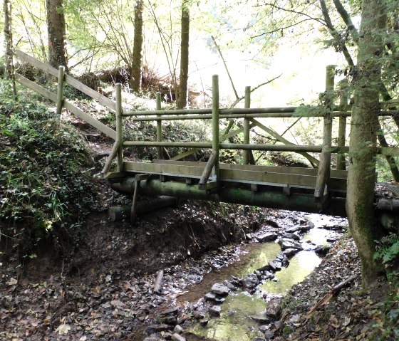 M&ouml;hn, &copy; Nicole Zimmer