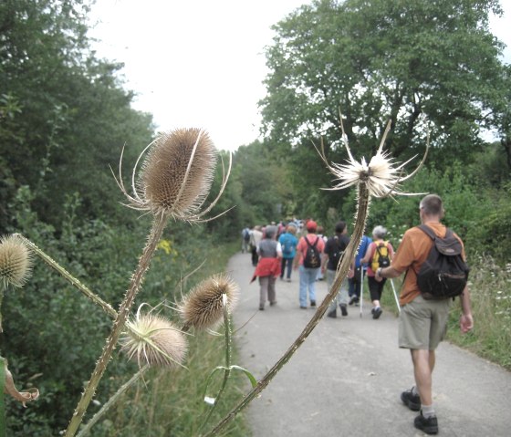 randonneur, © Deutsch Luxemburgische Tourist Info