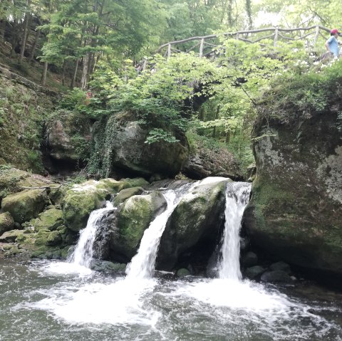 Schiessent&uuml;mpel, &copy; Barbara Fuchs