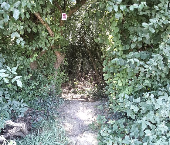 20160827_125501, &copy; Deutsch Luxemburgische Tourist Info