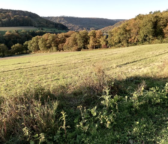 Parc naturel Südeifel 70, © Reinhold Hansen