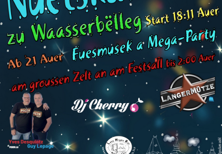 Nuetskavalkad, &copy; B&euml;llia Bratzelgecken asbl