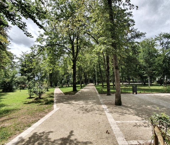 A shady path leads through the Maximiner Wäldchen in Bitburg, surrounded by tall trees and green lawns., © TI Bitburger Land