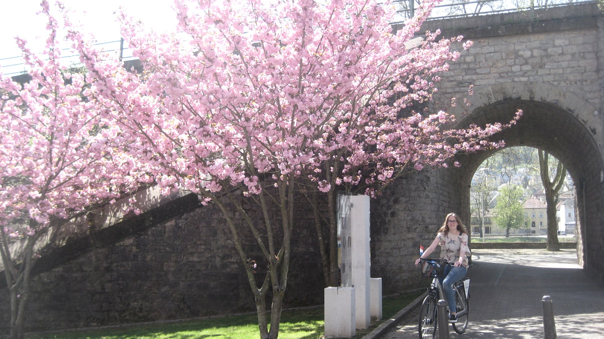 Frühlings Freude, © Deutsch-Luxemburgische Tourist-Information