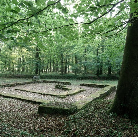 Gallo, © Deutsch-Luxemburgische Tourist-Information