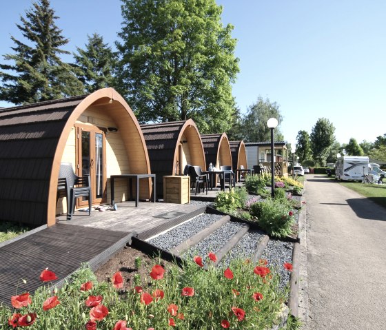 Pods 4, &copy; Alain Goedert