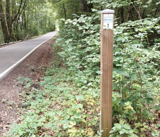 A wooden post with a 'BIT22' sign stands at the edge of an asphalt path in the forest. The path leads through dense, green forest., © TI Bitburger Land