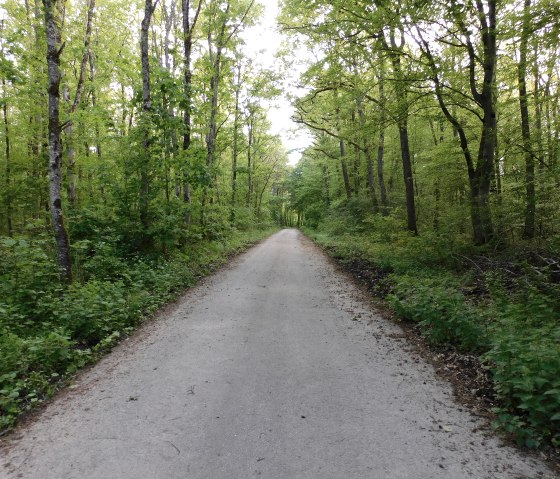 Hedgehog 2, &copy; Deutsch-Luxemburgische Tourist-Information