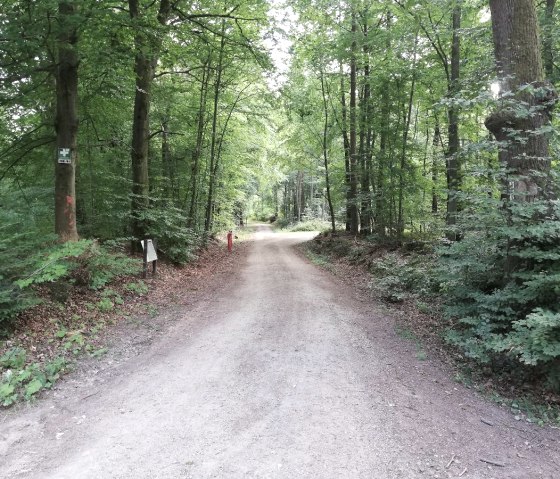 zemmer_2, &copy; Deutsch Luxemburgische Tourist Info