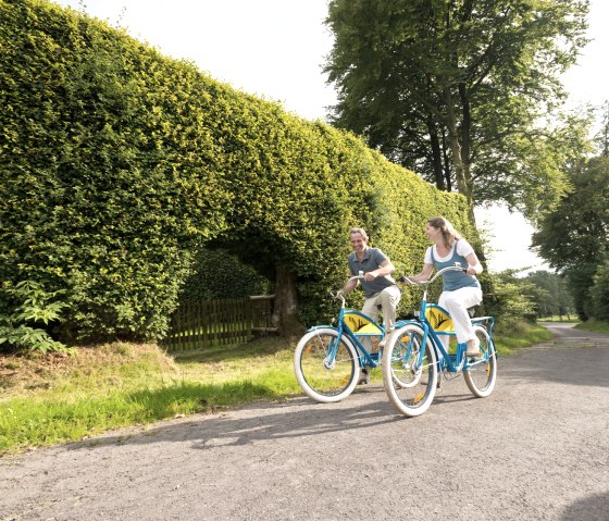 Haies de h&ecirc;tres de la hauteur d'une maison pr&egrave;s de Monschau-Kalterherberg, sur la Vennbahn (chemin de fer des Fagnes), &copy; vennbahn.eu